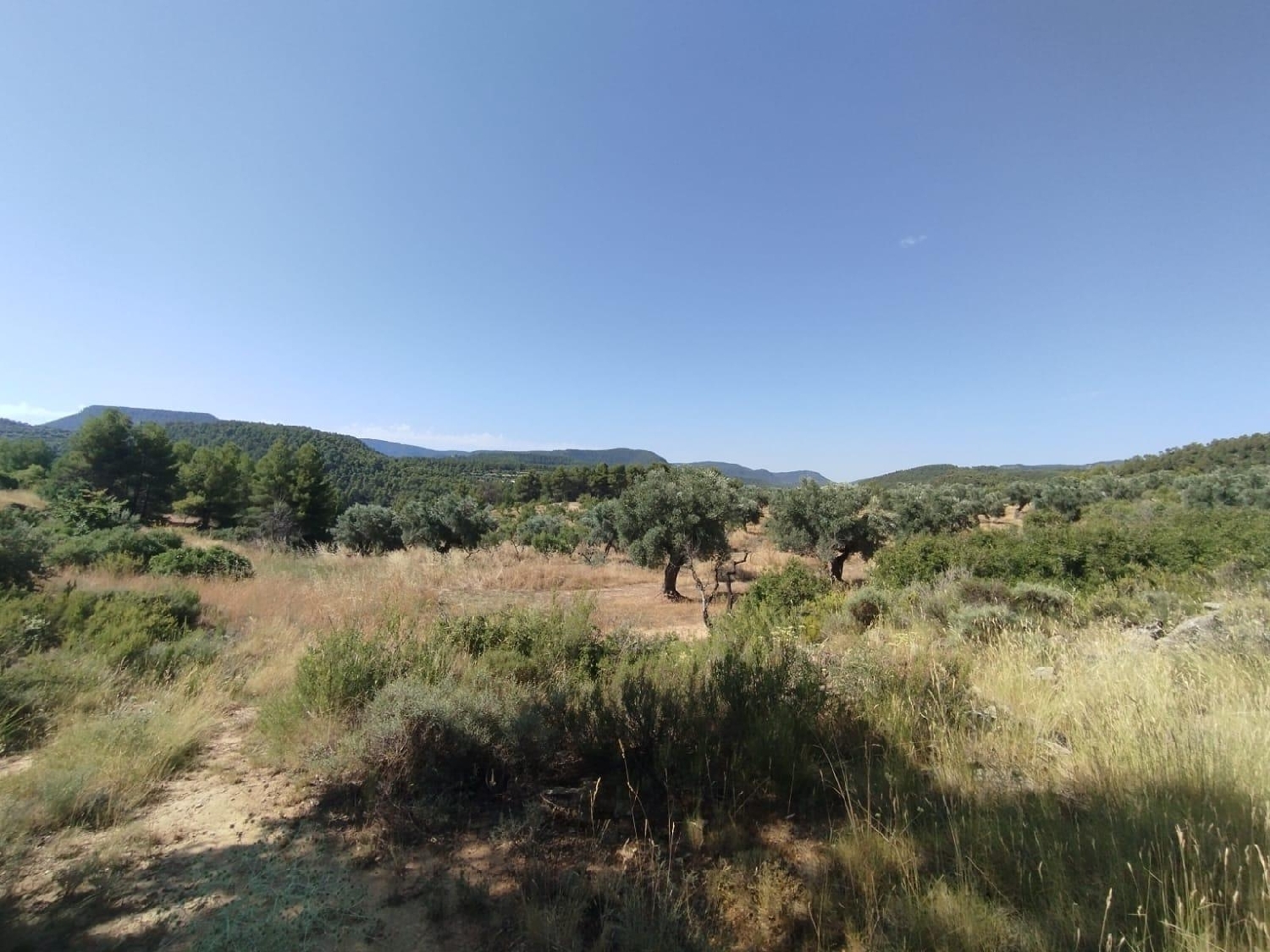  for sale country house La Portellada Matarraña 7