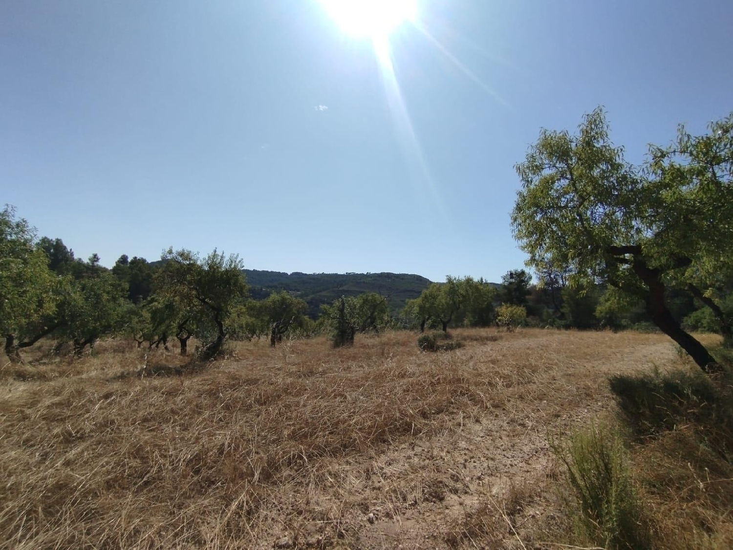  for sale country house La Portellada Matarraña 6