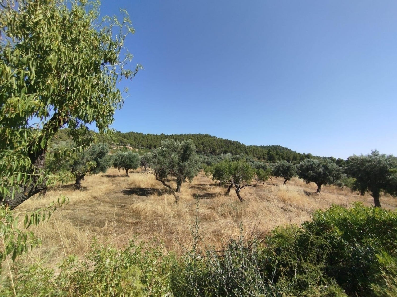  for sale country house La Portellada Matarraña 8