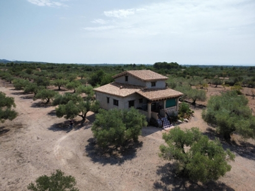 L''ametlla De Mar Baix Ebre finca rústica foto 6288518