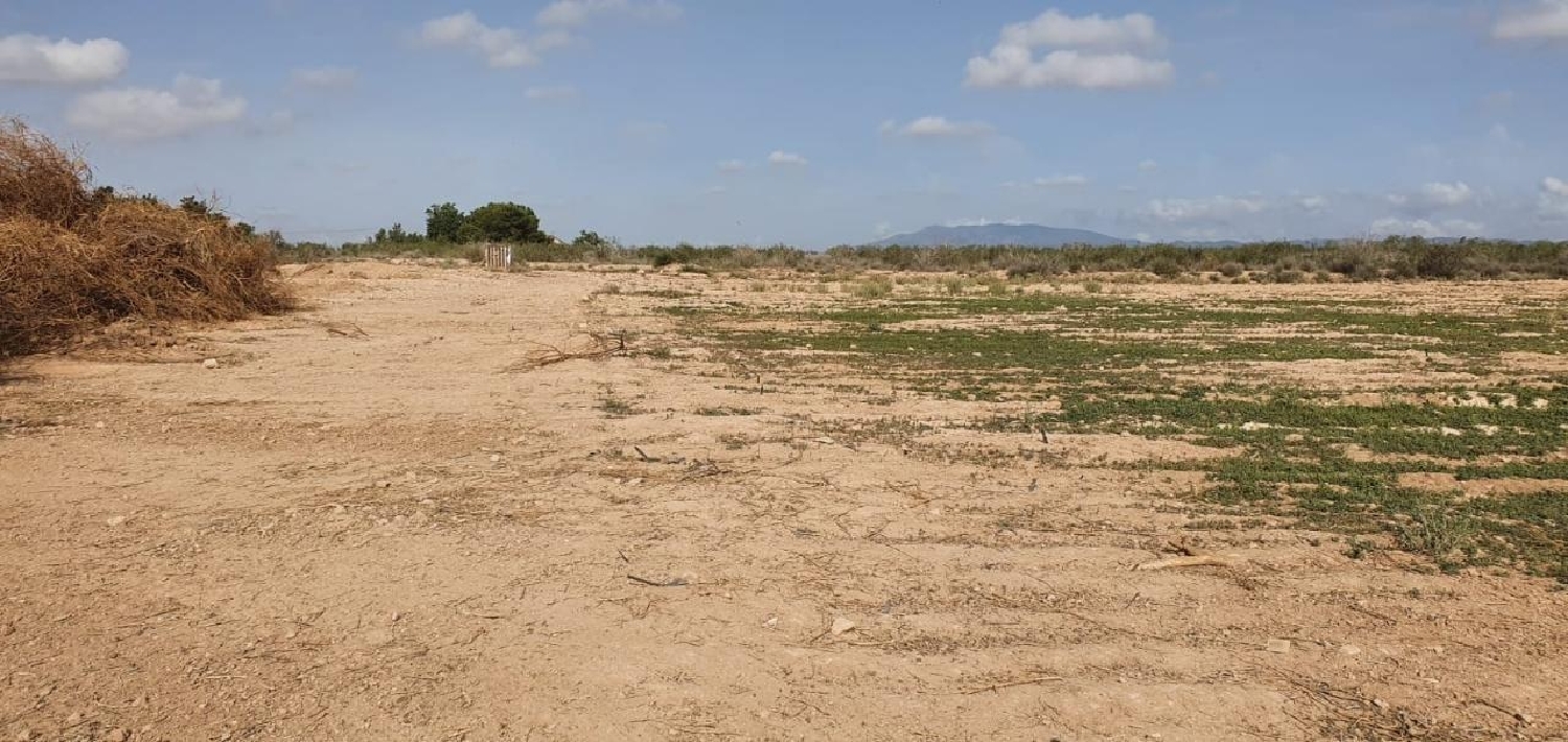  till salu hus på landet Los Martínez Del Puerto Huerta De Murcia 4