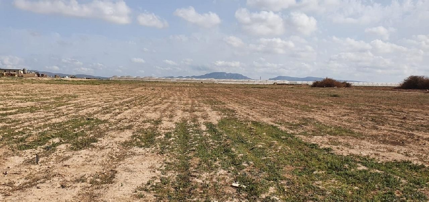till salu hus på landet Los Martínez Del Puerto Huerta De Murcia 3
