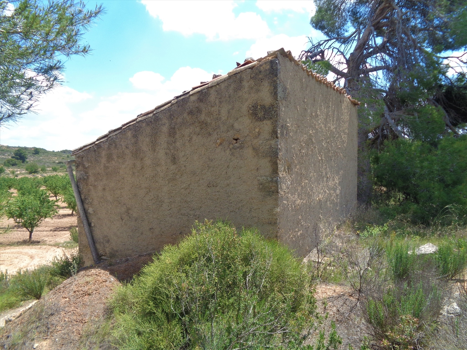  en venta finca rústica Maella Bajo Aragón-Caspe 3