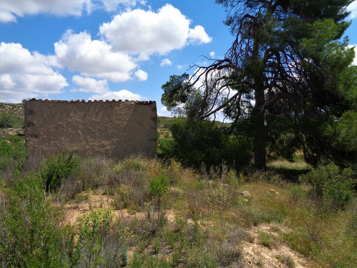  en venta finca rústica Maella Bajo Aragón-Caspe 2