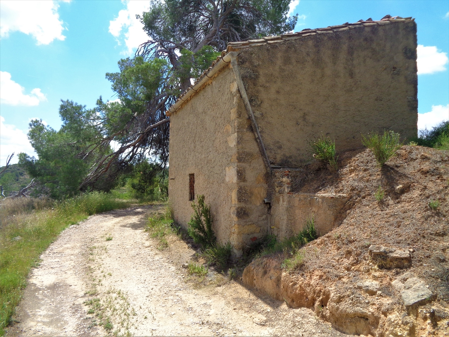  en venta finca rústica Maella Bajo Aragón-Caspe 6