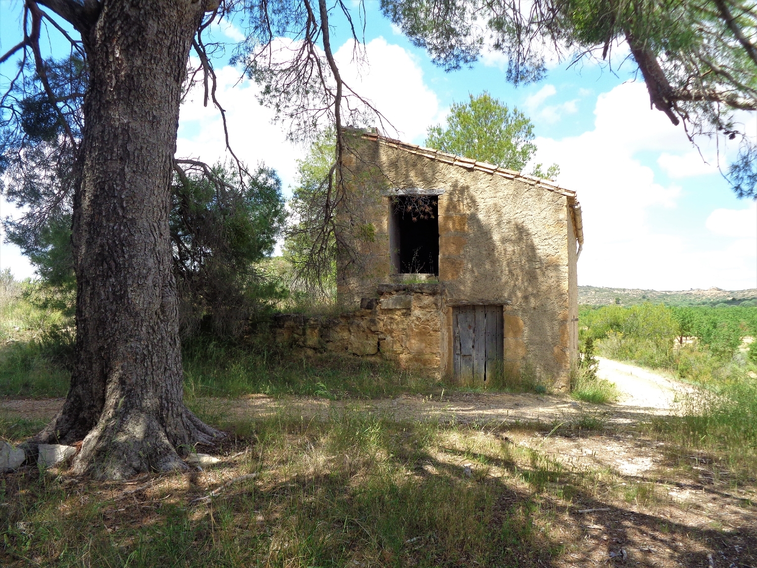  en venta finca rústica Maella Bajo Aragón-Caspe 14