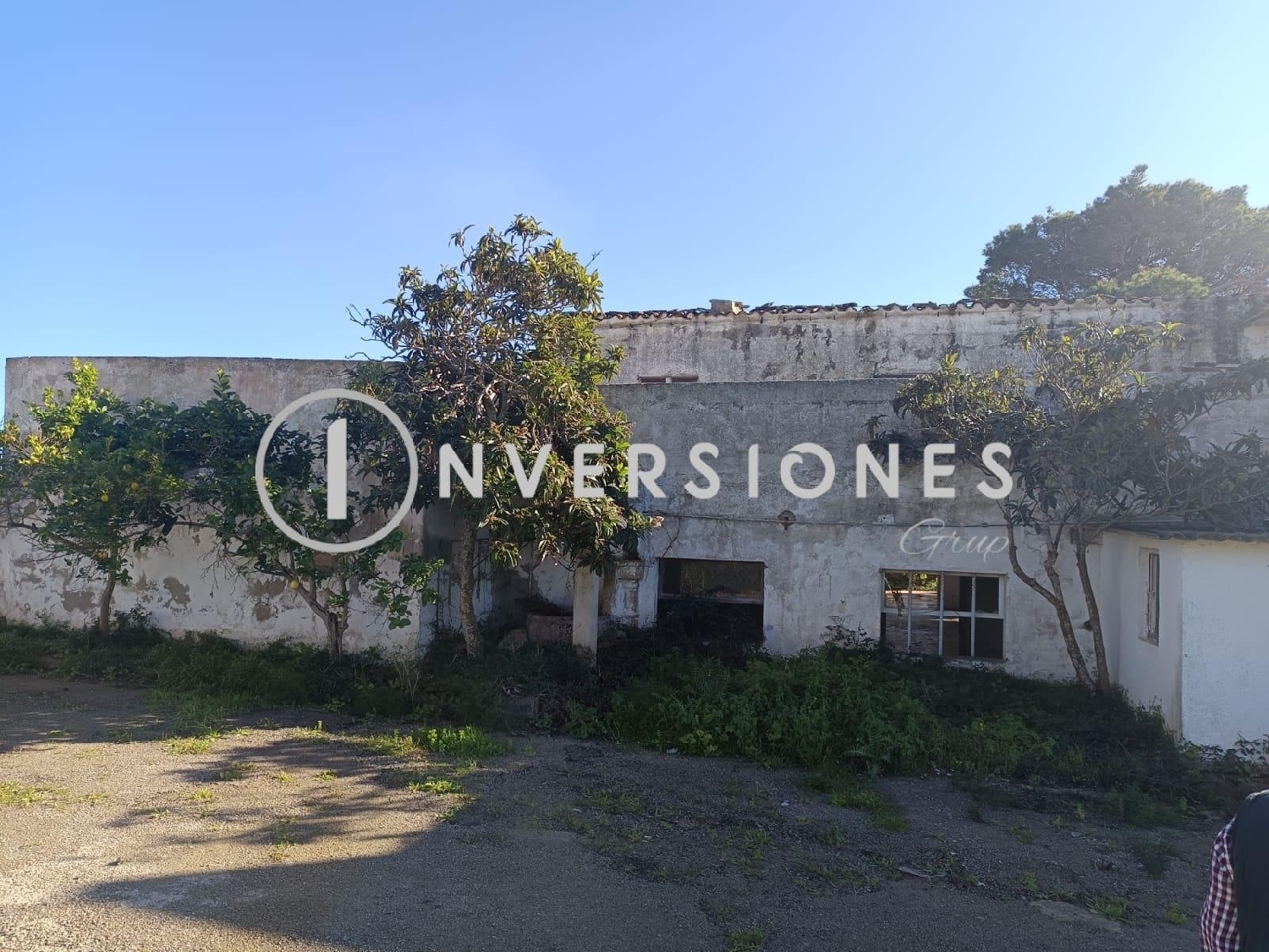  en venta finca rústica Manacor Llevant 4