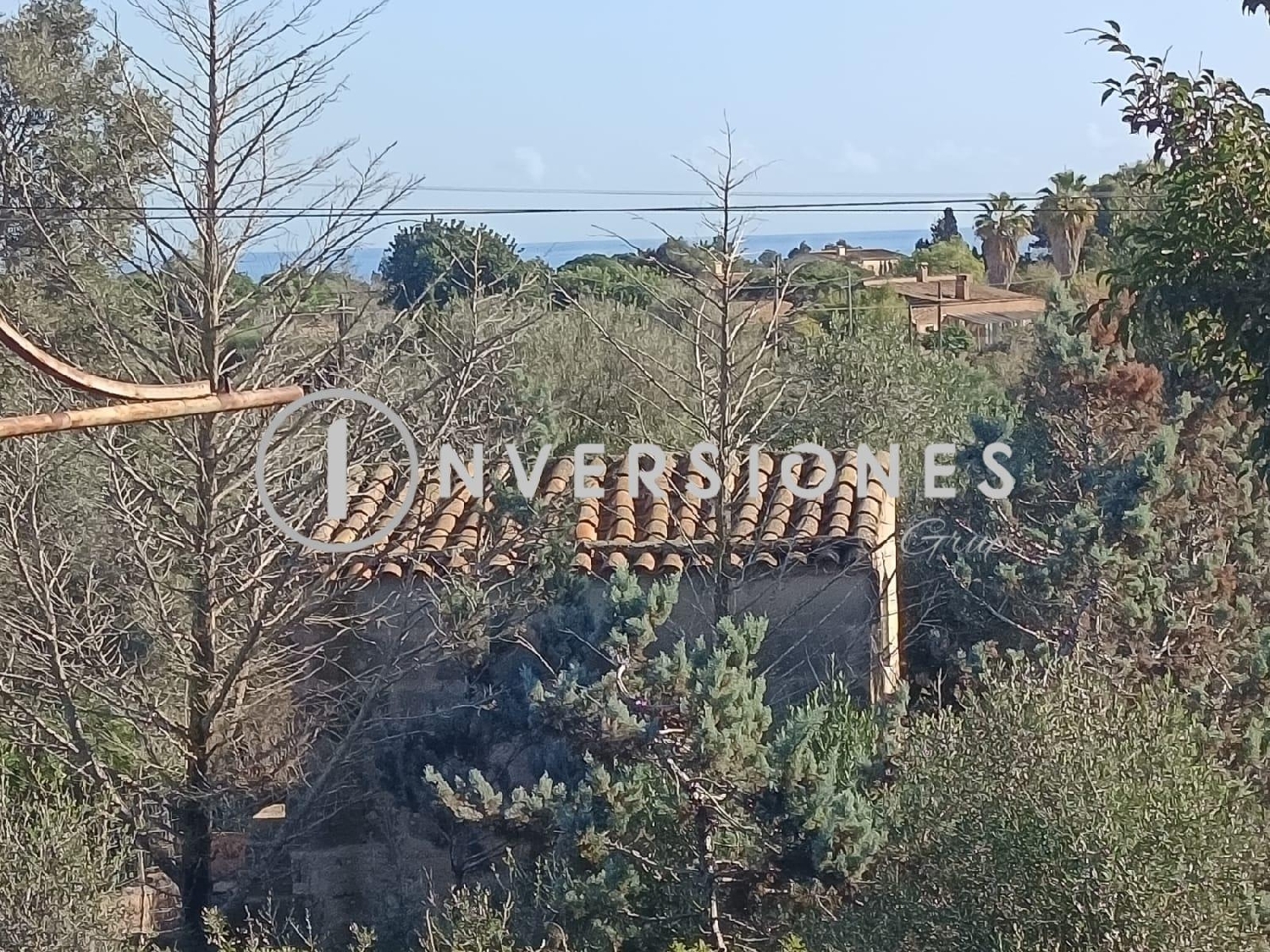  en venta finca rústica Manacor Llevant 6