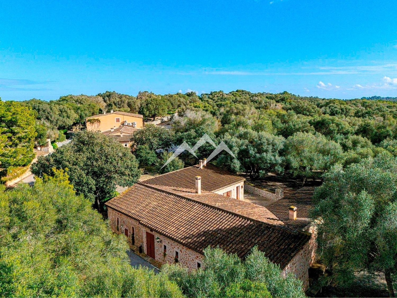 for sale country house Manacor Llevant 3