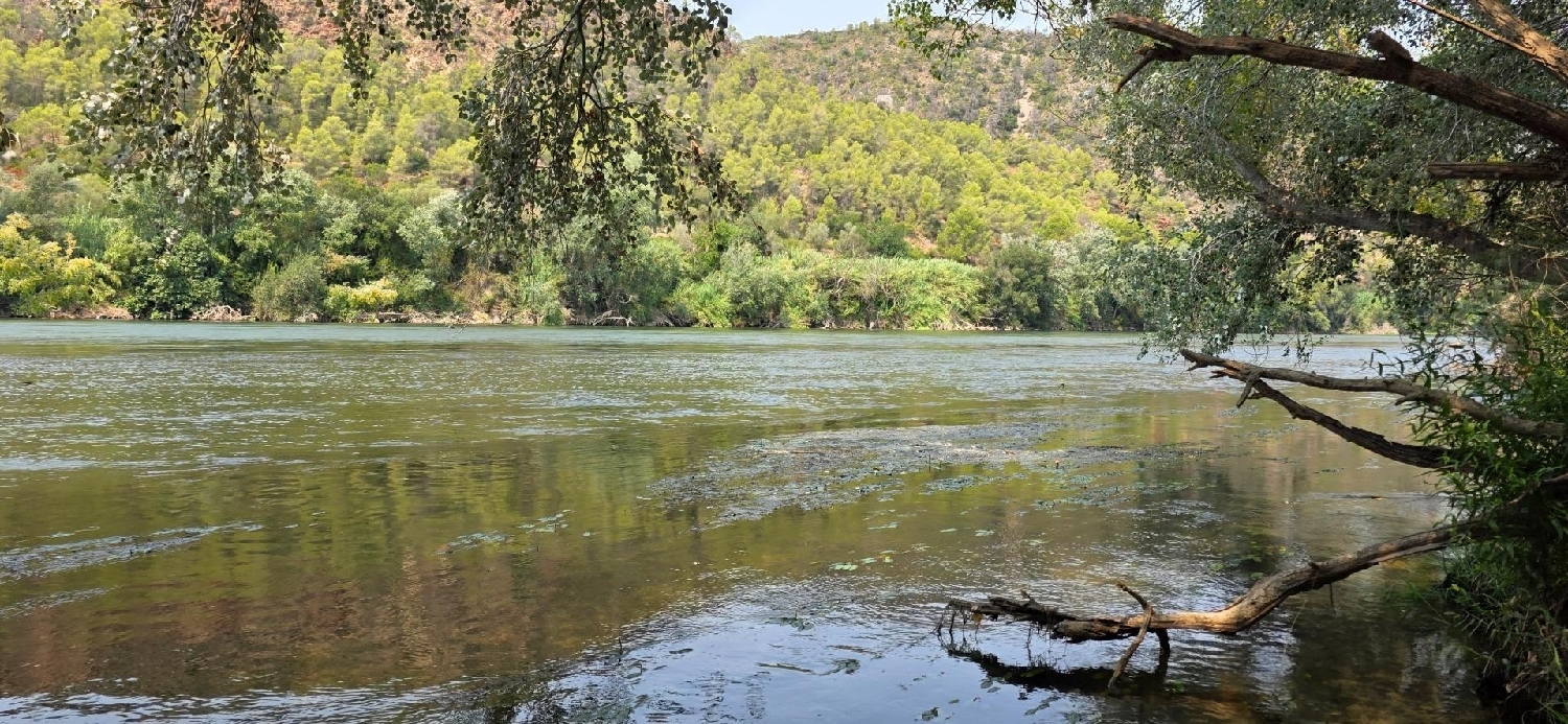 till salu hus på landet Miravet Ribera D'ebre 7