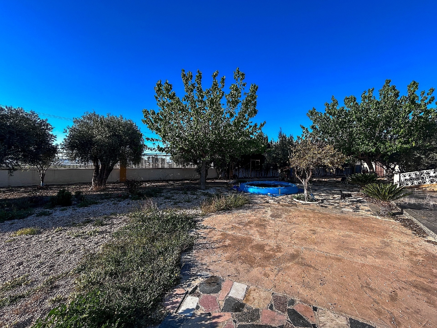  à vendre maison de campagne Monforte Del Cid Vinalopó Mitjà 11