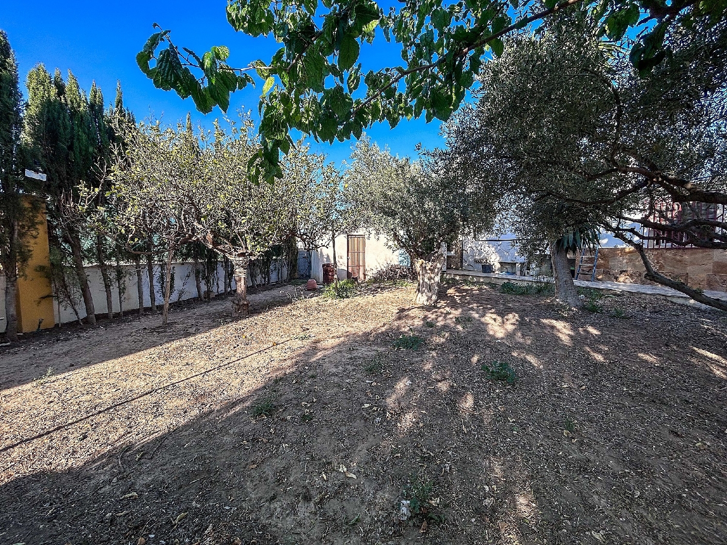  à vendre maison de campagne Monforte Del Cid Vinalopó Mitjà 12