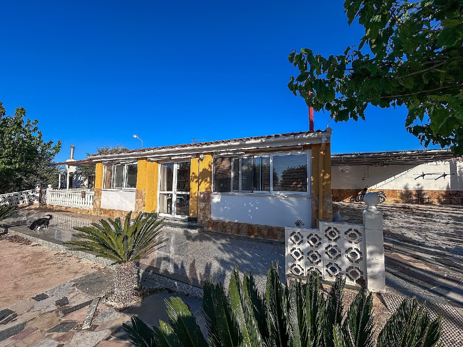  à vendre maison de campagne Monforte Del Cid Vinalopó Mitjà 4