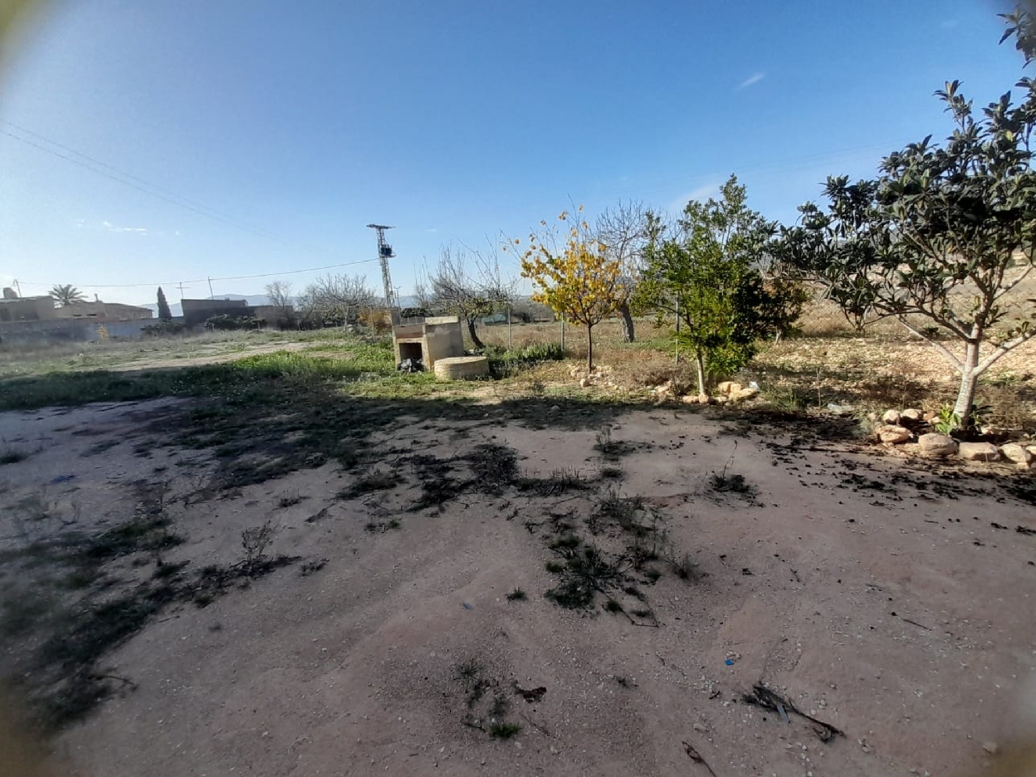  en venta finca rústica Monóvar Vinalopó Mitjà 10