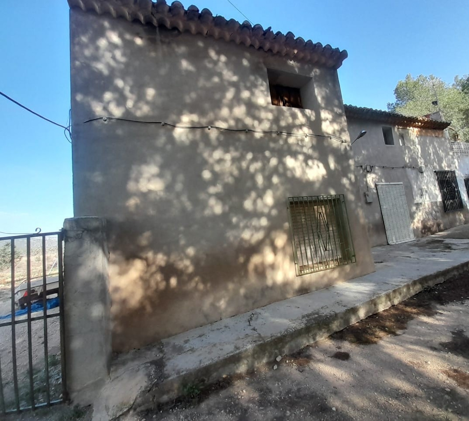  en venta finca rústica Monóvar Vinalopó Mitjà 3