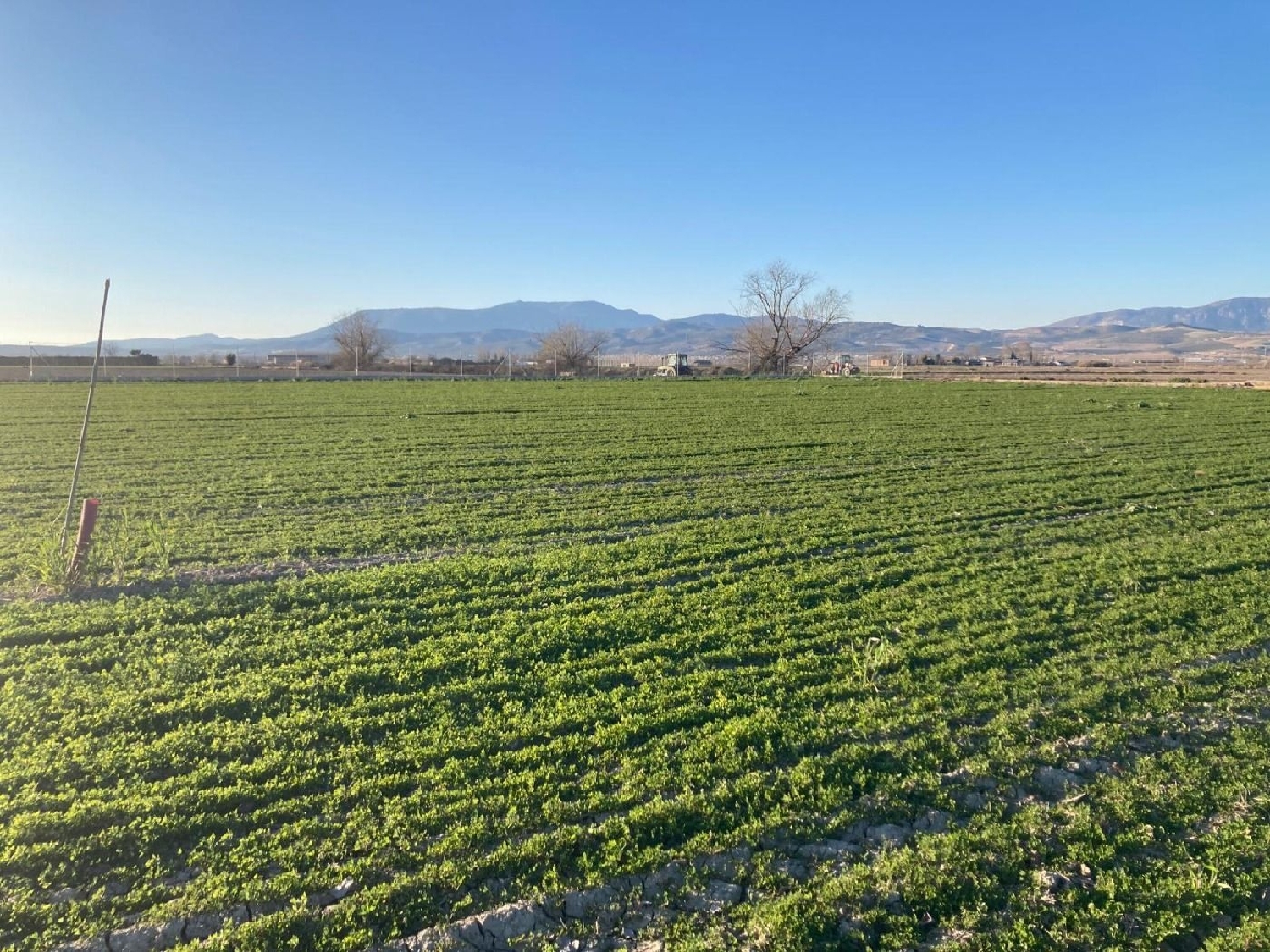  for sale country house Pinos Puente Vega De Granada 1