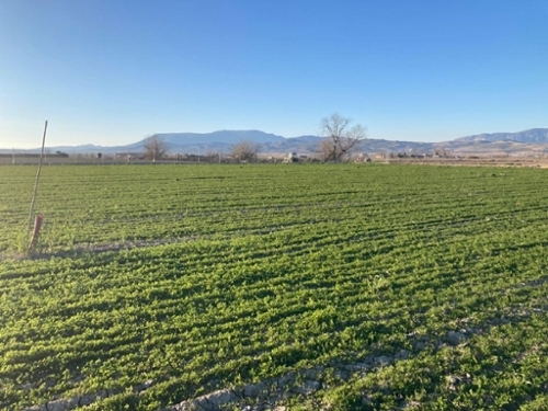 Pinos Puente Vega De Granada hus på landet foto 6288430
