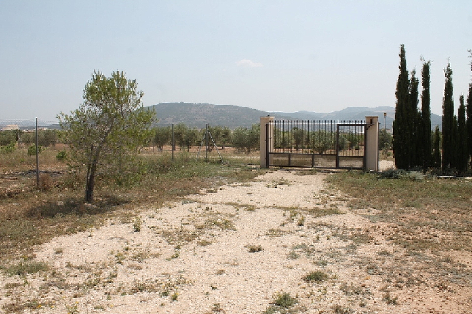  te koop boerderij Pinoso Vinalopó Mitjà 17