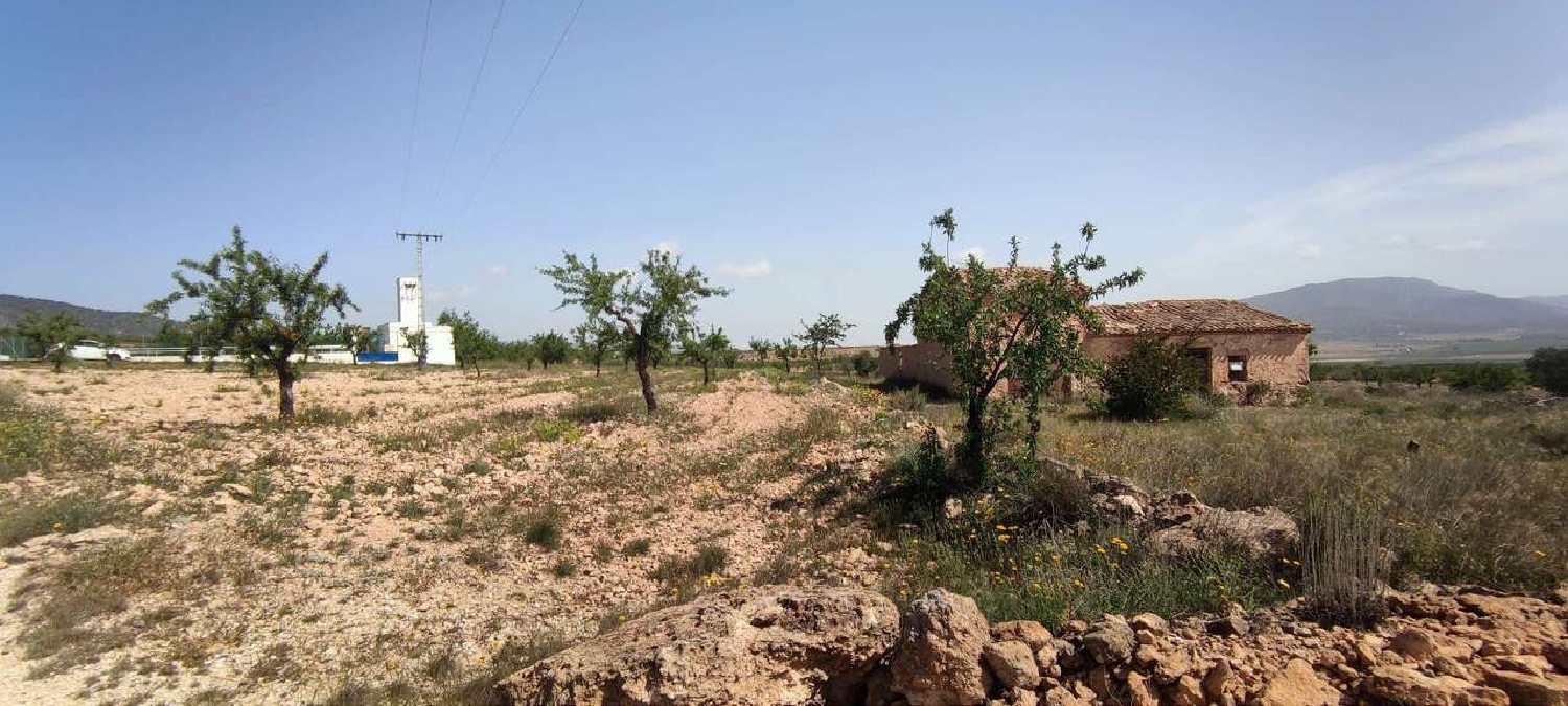  te koop boerderij Pinoso Vinalopó Mitjà 6