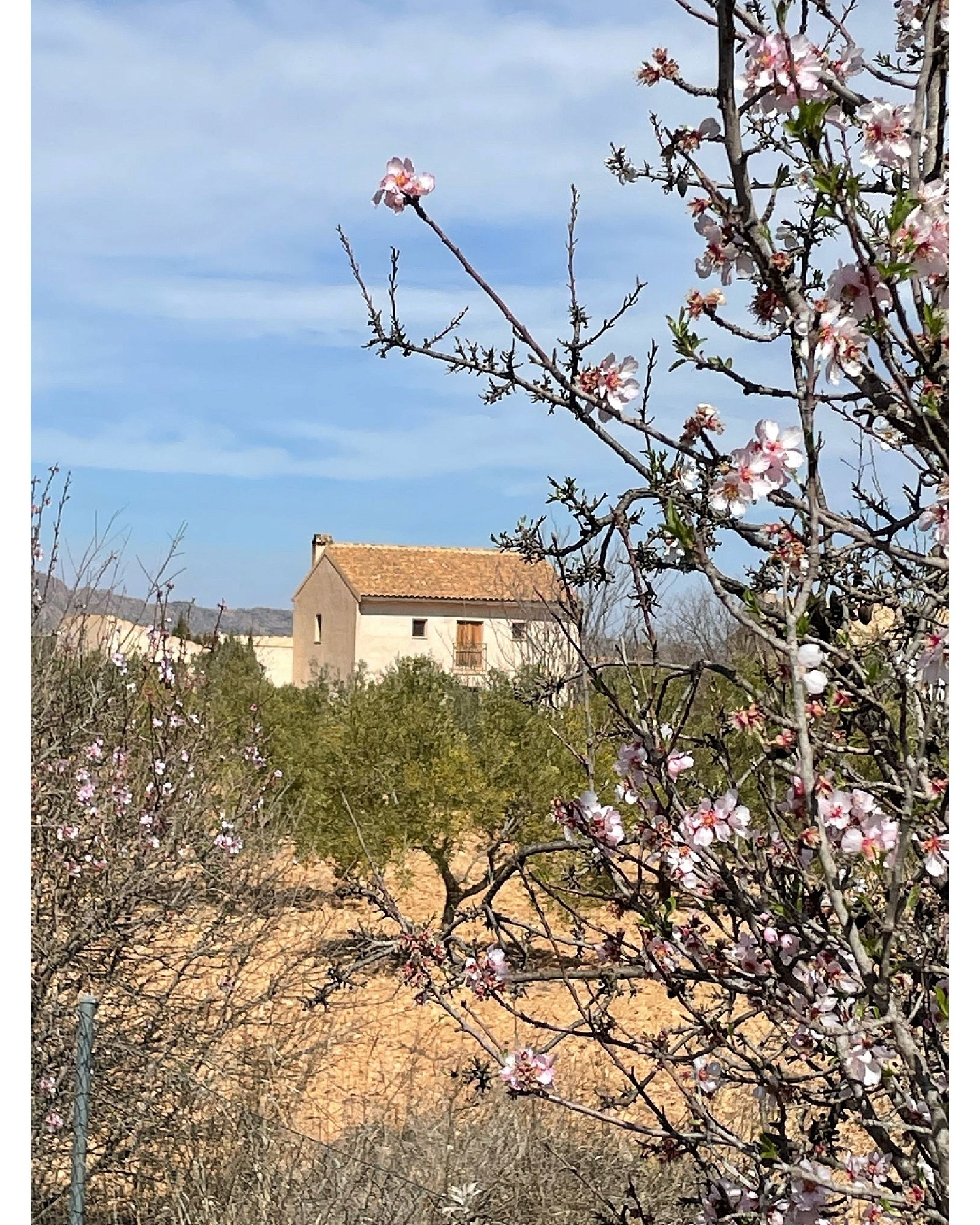  à vendre maison de campagne Raspay Altiplano 40