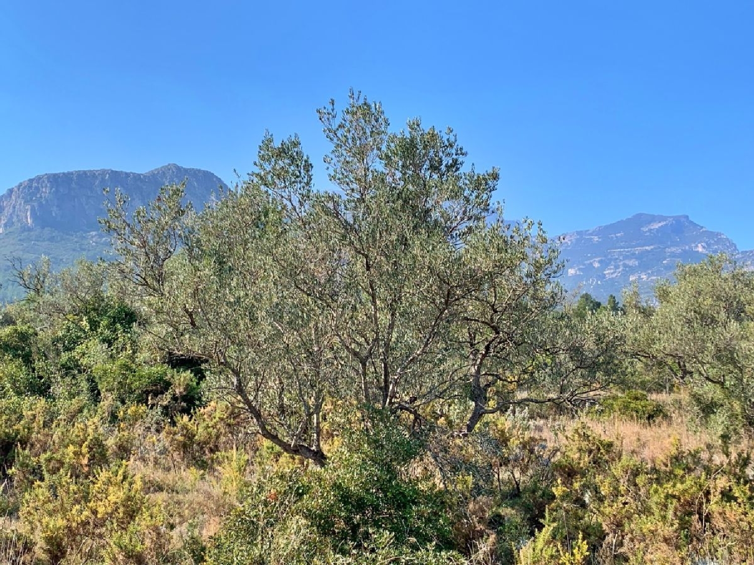  kaufen Landhaus Roquetes Baix Ebre 8