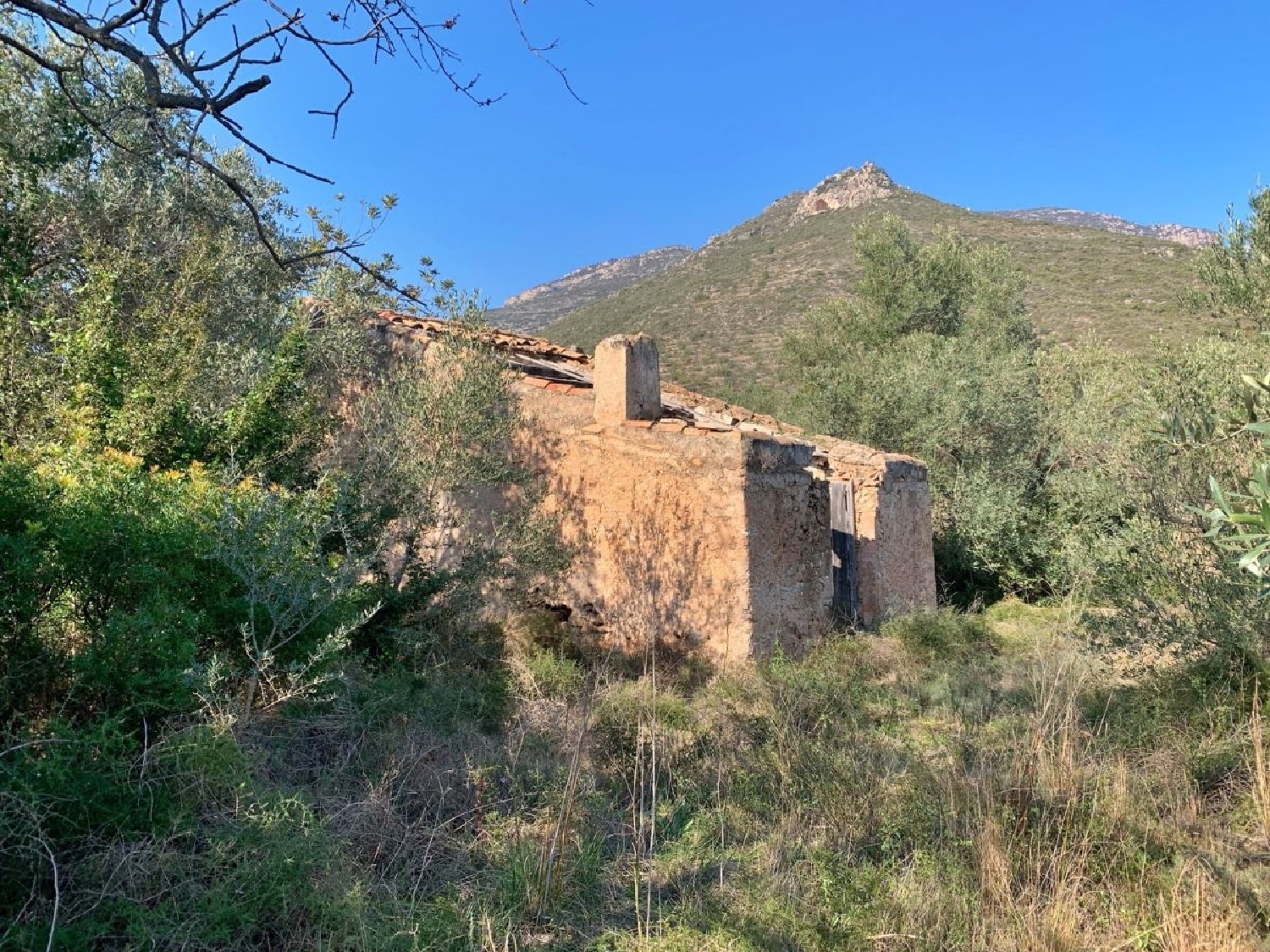  kaufen Landhaus Roquetes Baix Ebre 2