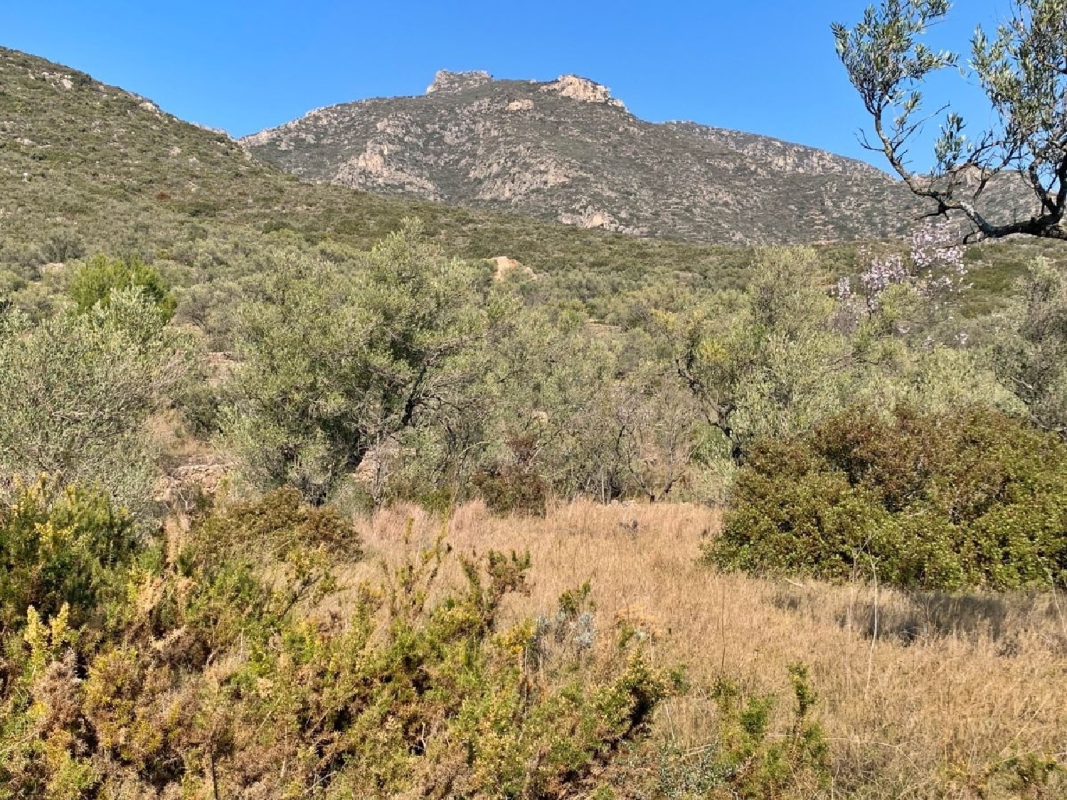  kaufen Landhaus Roquetes Baix Ebre 4