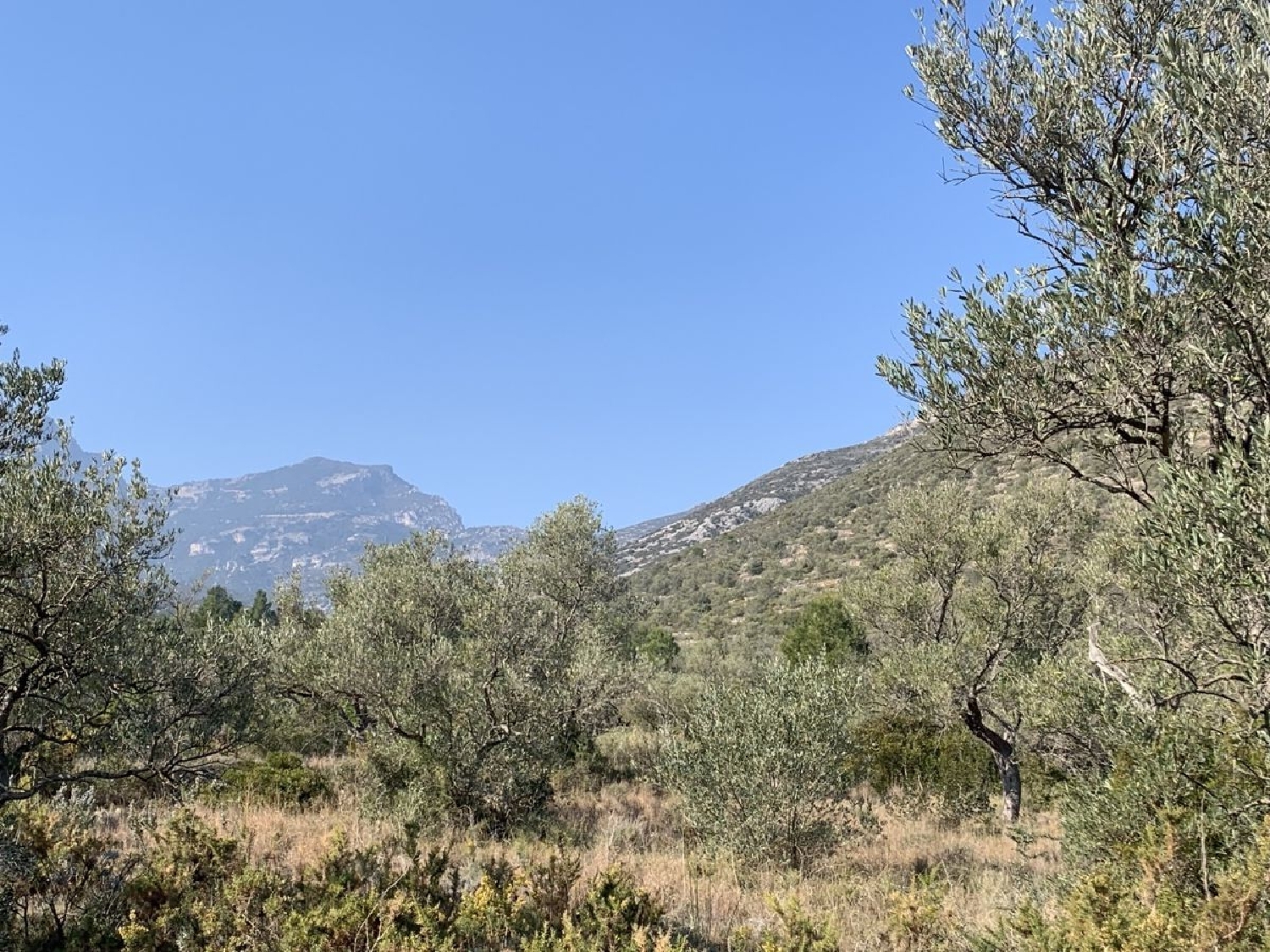  kaufen Landhaus Roquetes Baix Ebre 7