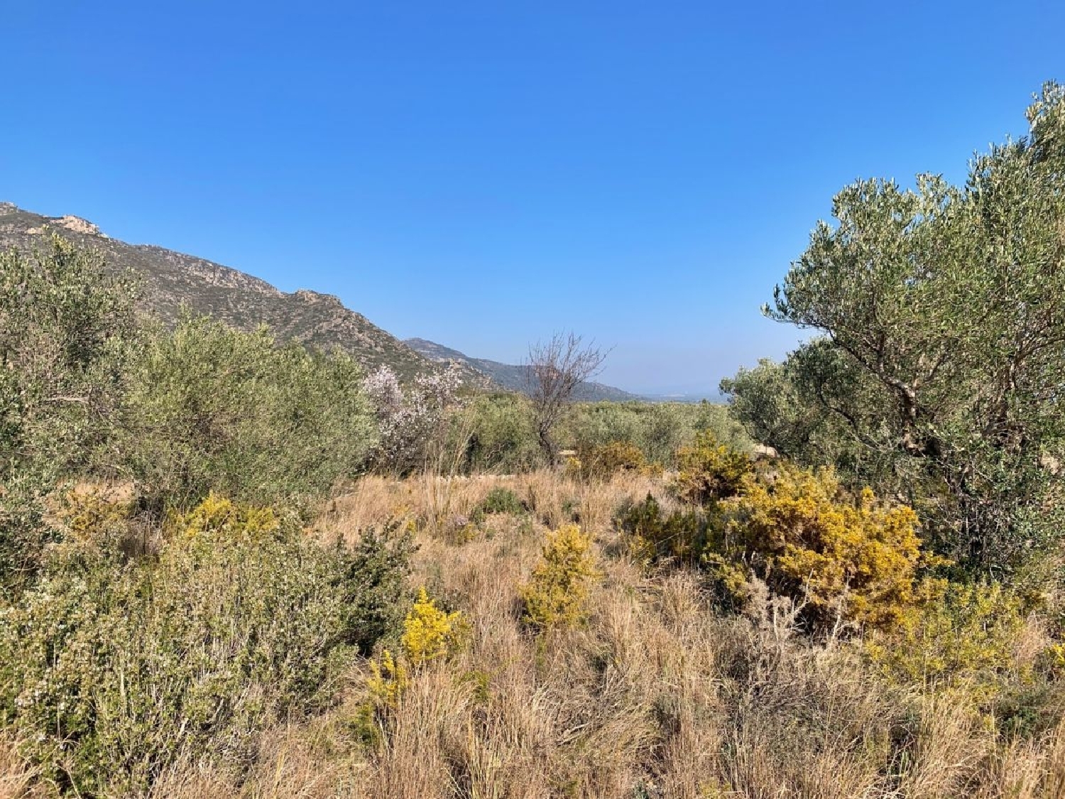  kaufen Landhaus Roquetes Baix Ebre 5