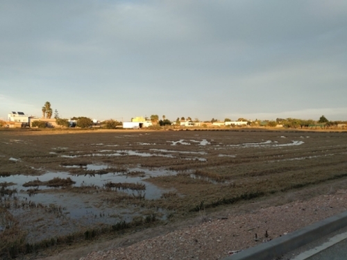 Sant Jaume D''enveja Montsià Landhaus Bild 6289802