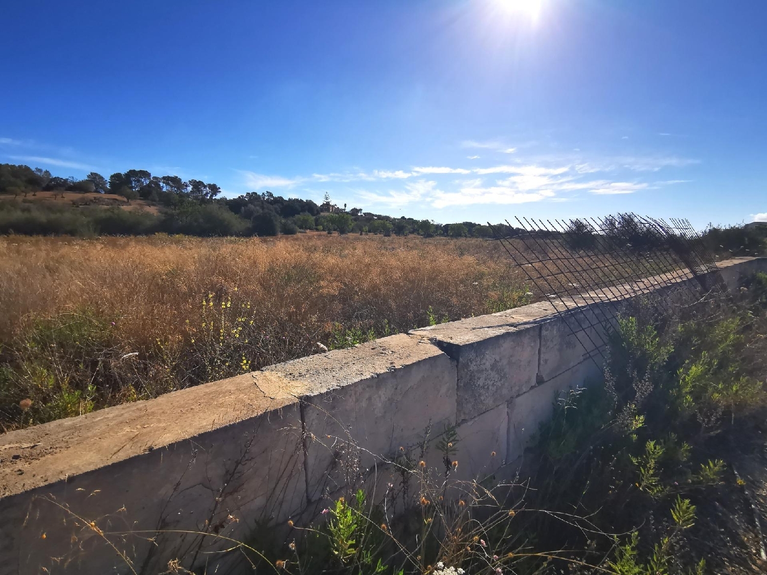  kaufen Landhaus Sant Joan Pla (Es) 8