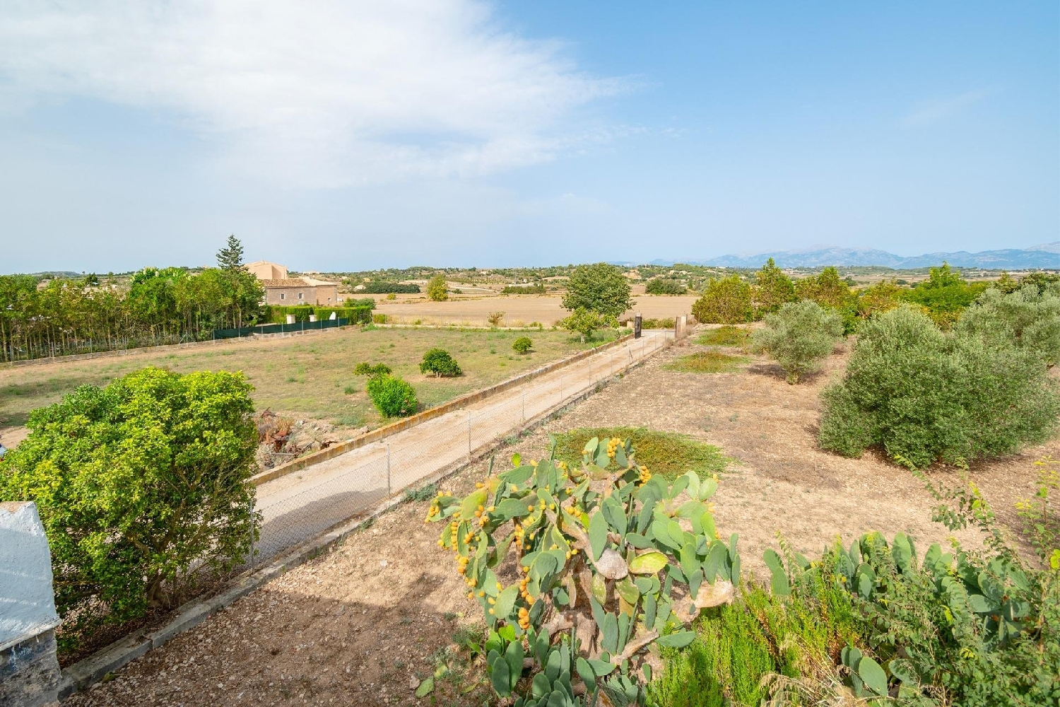  for sale country house Santa Margalida Nord 5