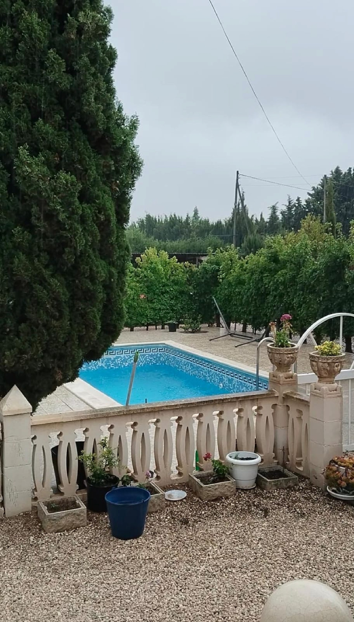  à vendre maison de campagne Sax Alt Vinalopó 6