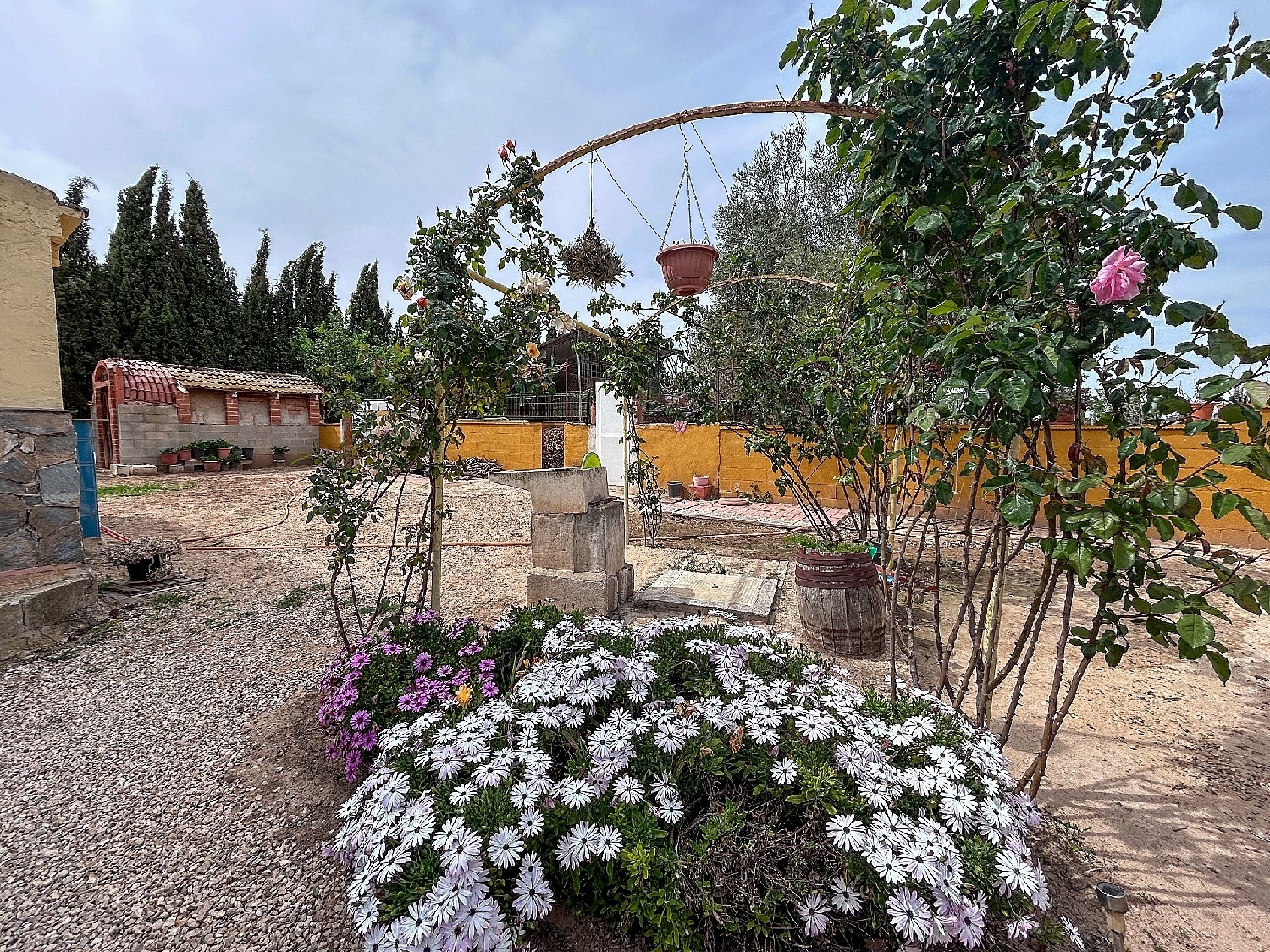  à vendre maison de campagne Sax Alt Vinalopó 11