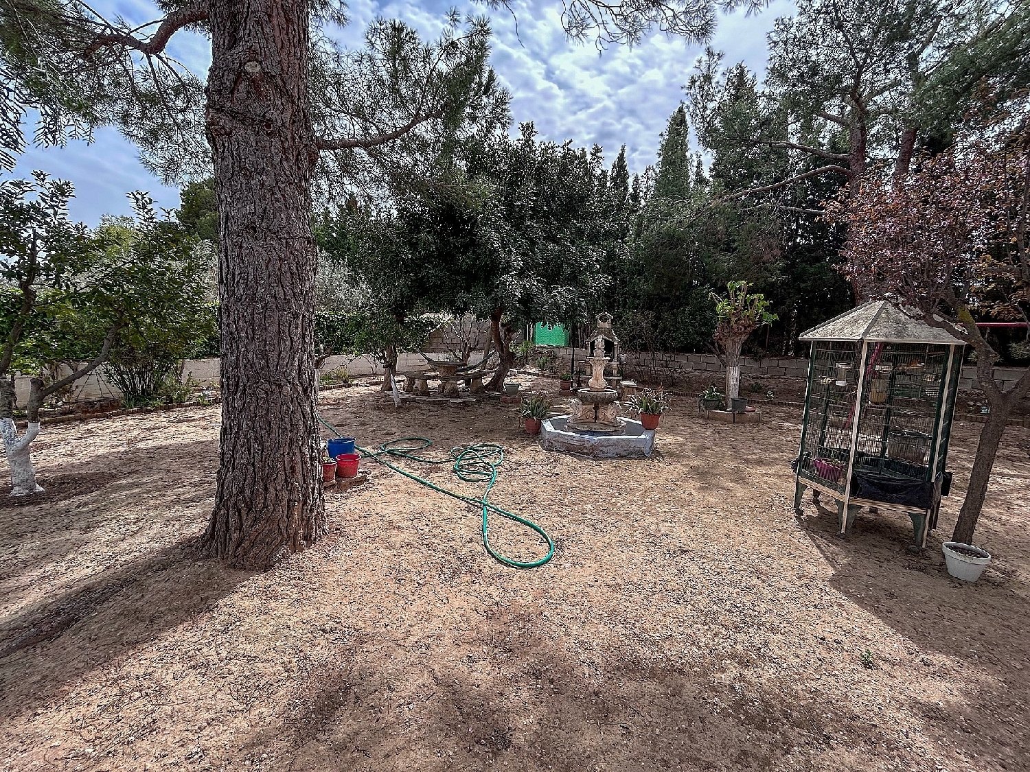  à vendre maison de campagne Sax Alt Vinalopó 9