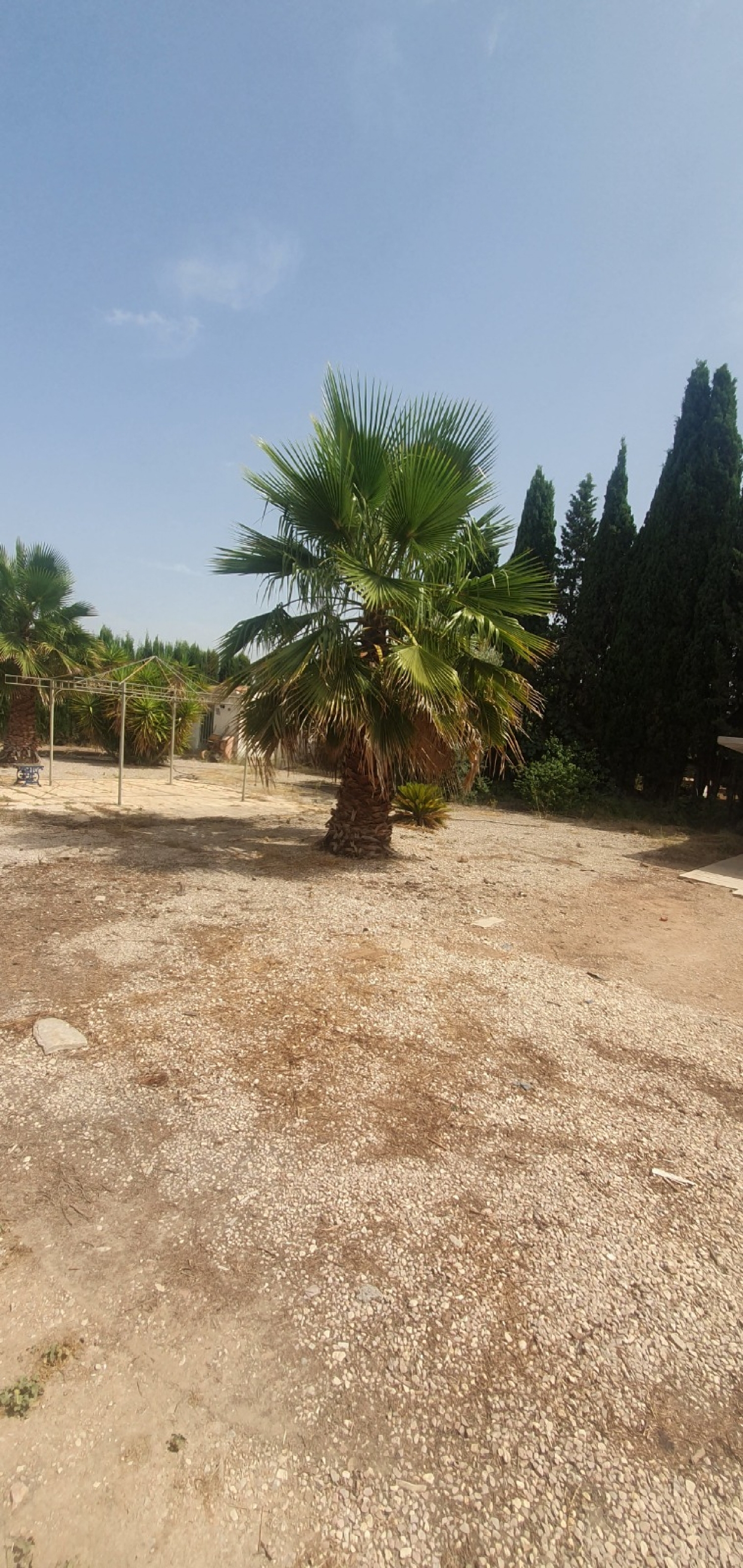  for sale country house Sax Alt Vinalopó 31
