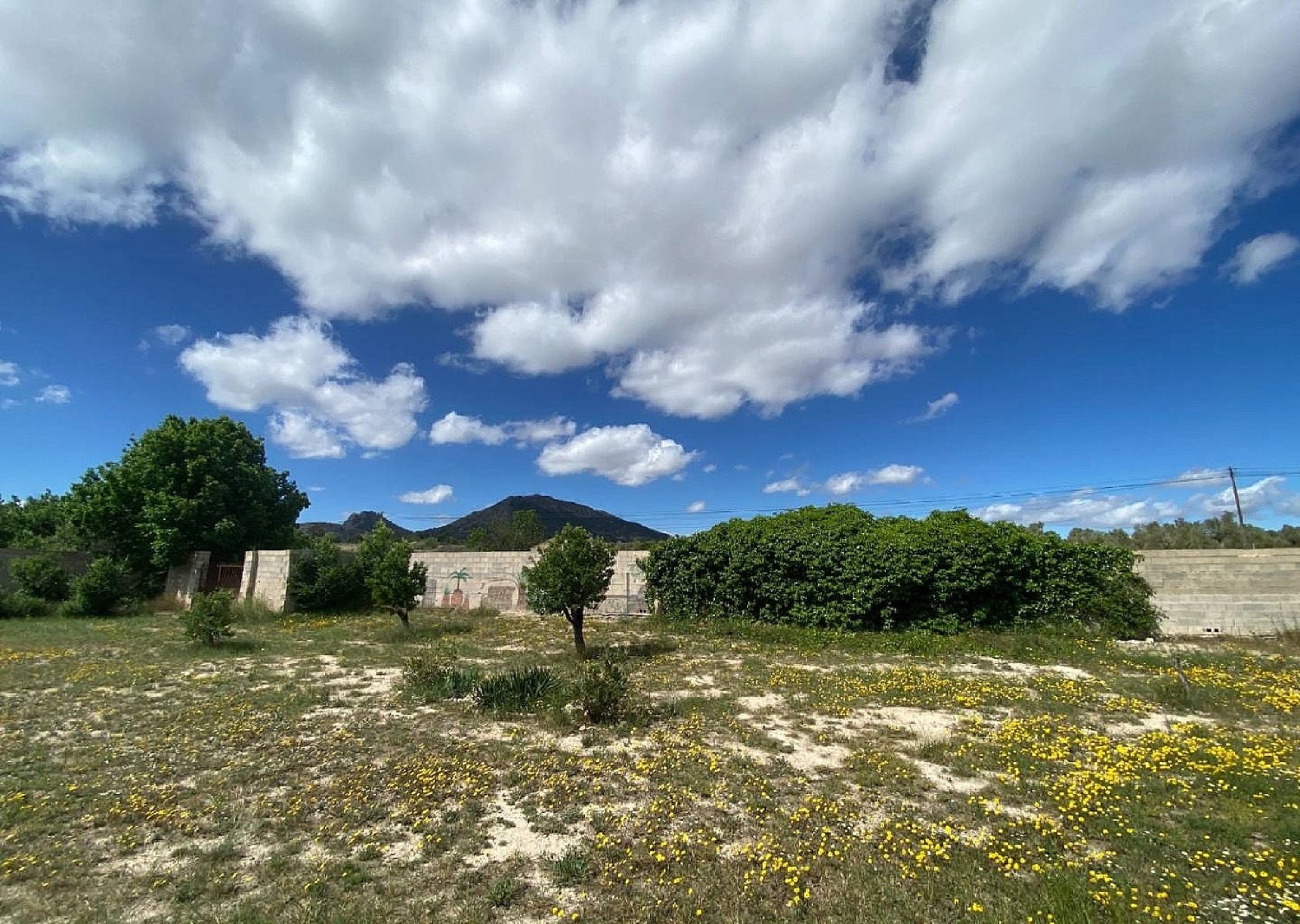 en venta finca rústica Sax Alt Vinalopó 8