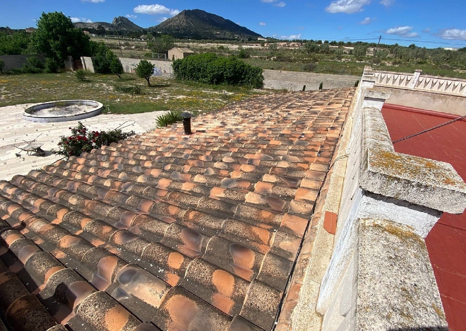  en venta finca rústica Sax Alt Vinalopó 23