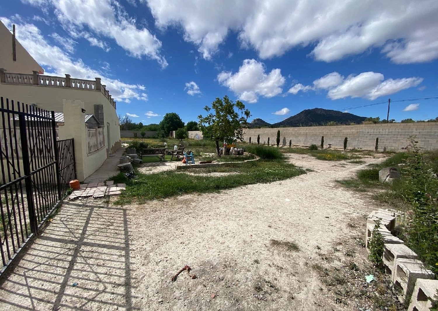  en venta finca rústica Sax Alt Vinalopó 6