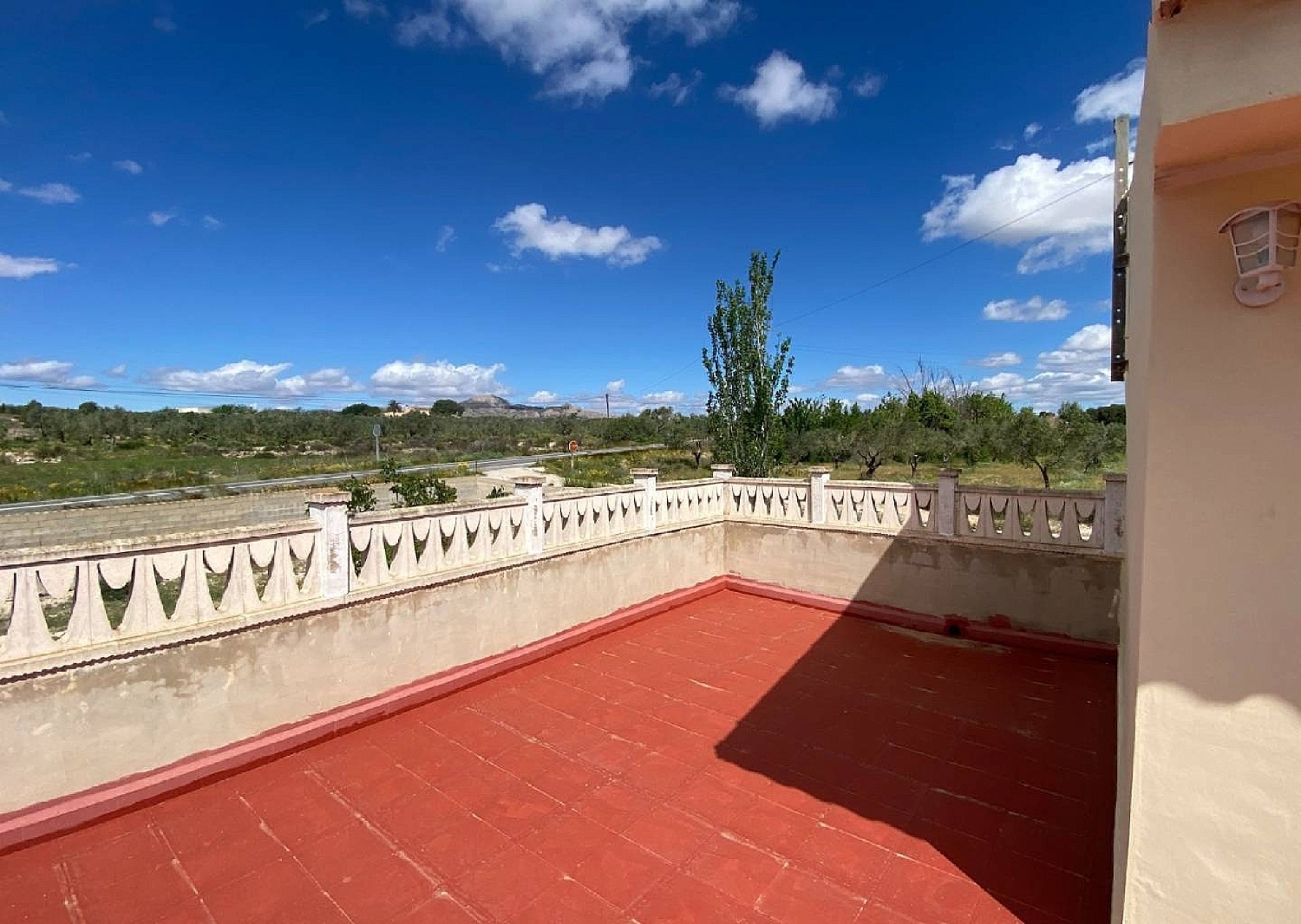  en venta finca rústica Sax Alt Vinalopó 17