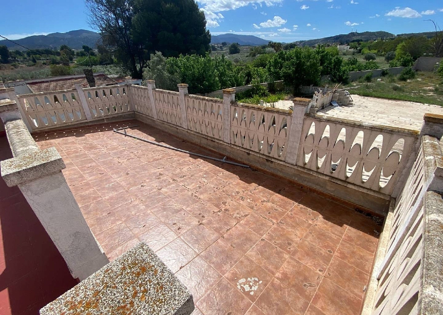  en venta finca rústica Sax Alt Vinalopó 9