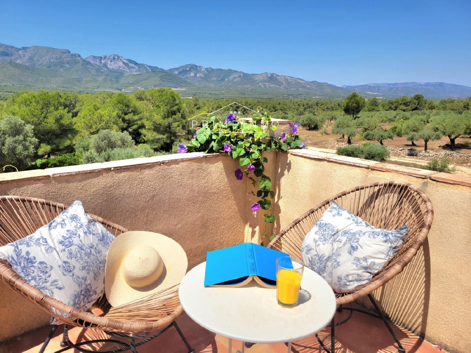  à vendre maison de campagne Tivissa Ribera D'ebre 22