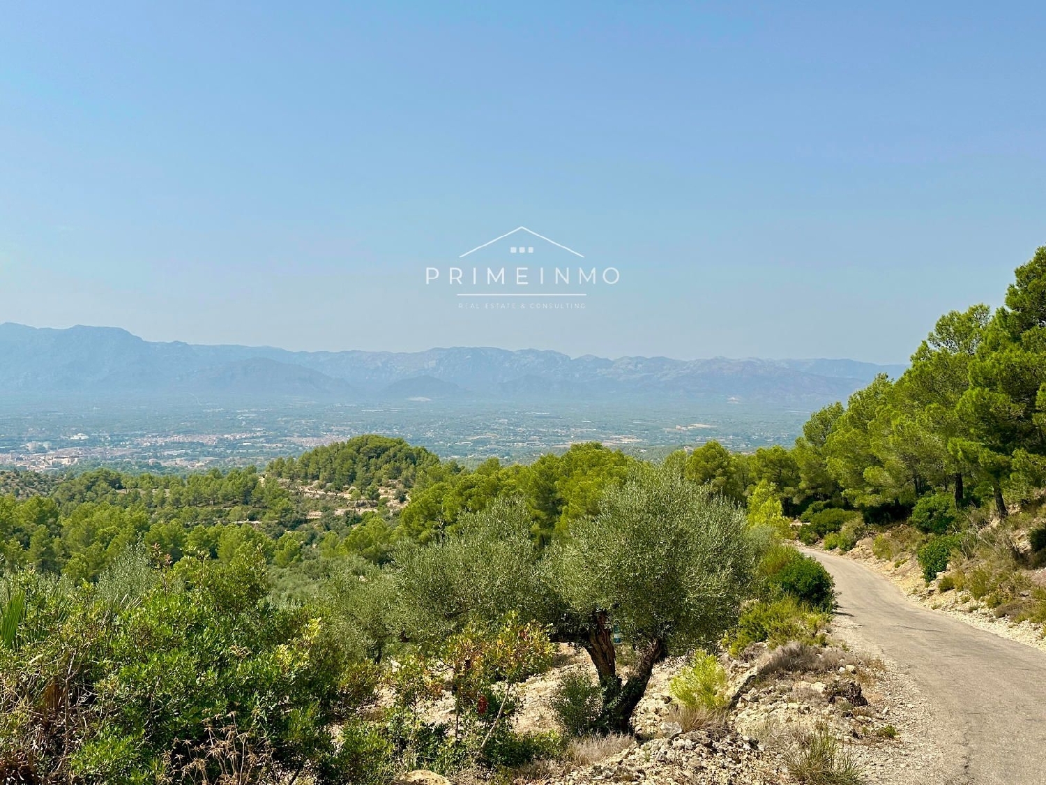  te koop boerderij Tortosa Baix Ebre 33