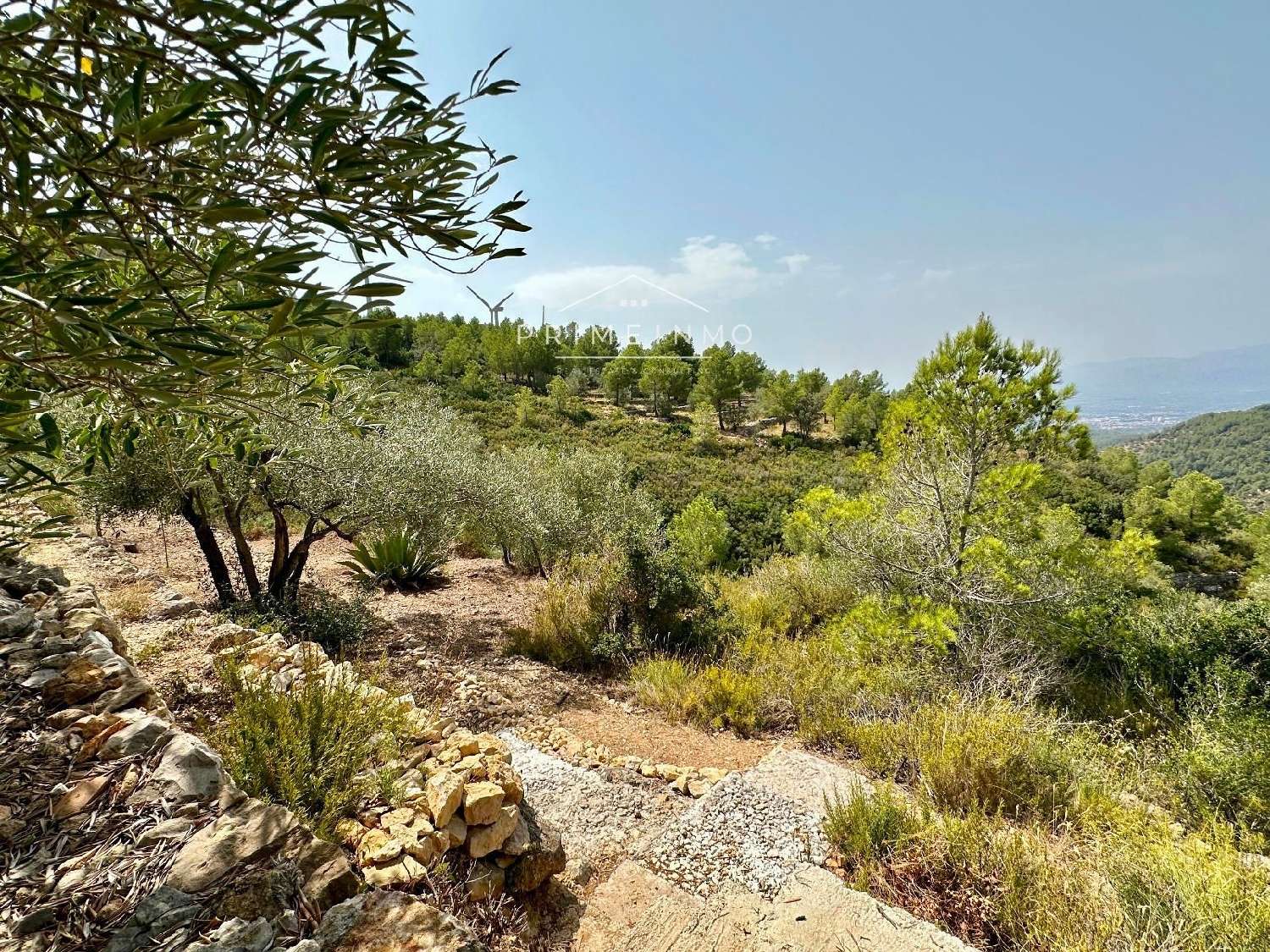  te koop boerderij Tortosa Baix Ebre 37