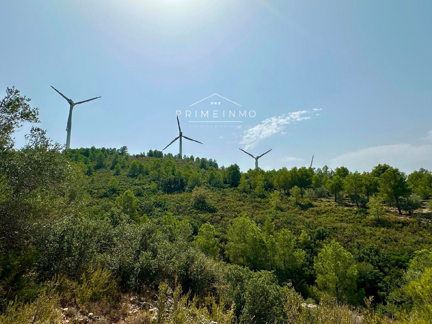  te koop boerderij Tortosa Baix Ebre 36