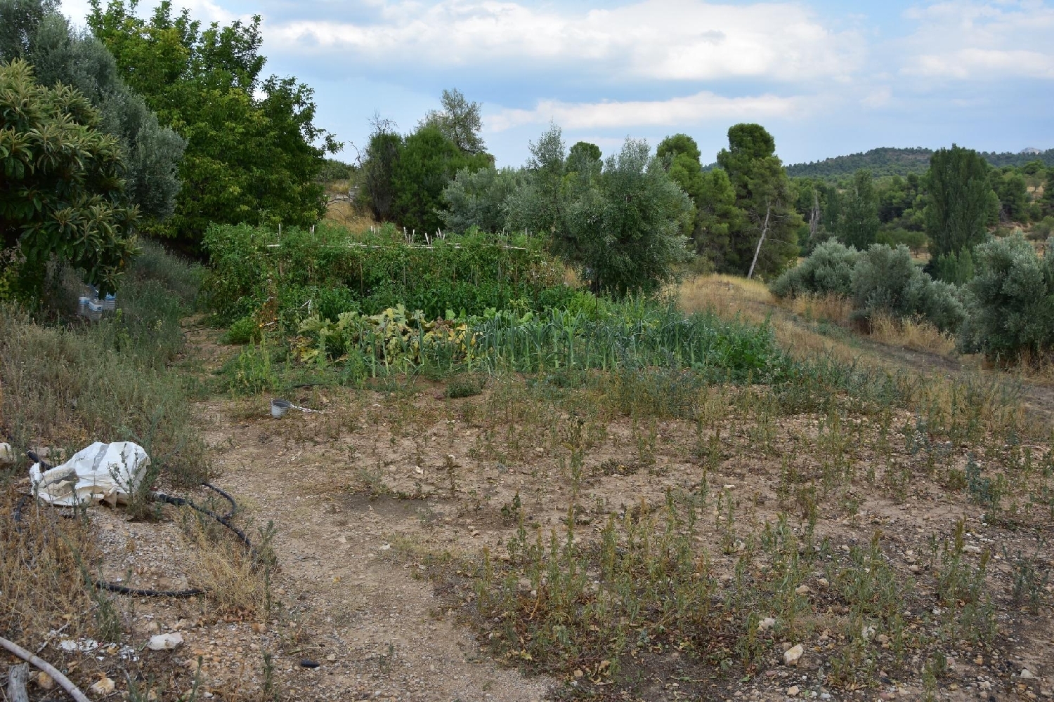  kaufen Landhaus Valderrobres Matarraña 4