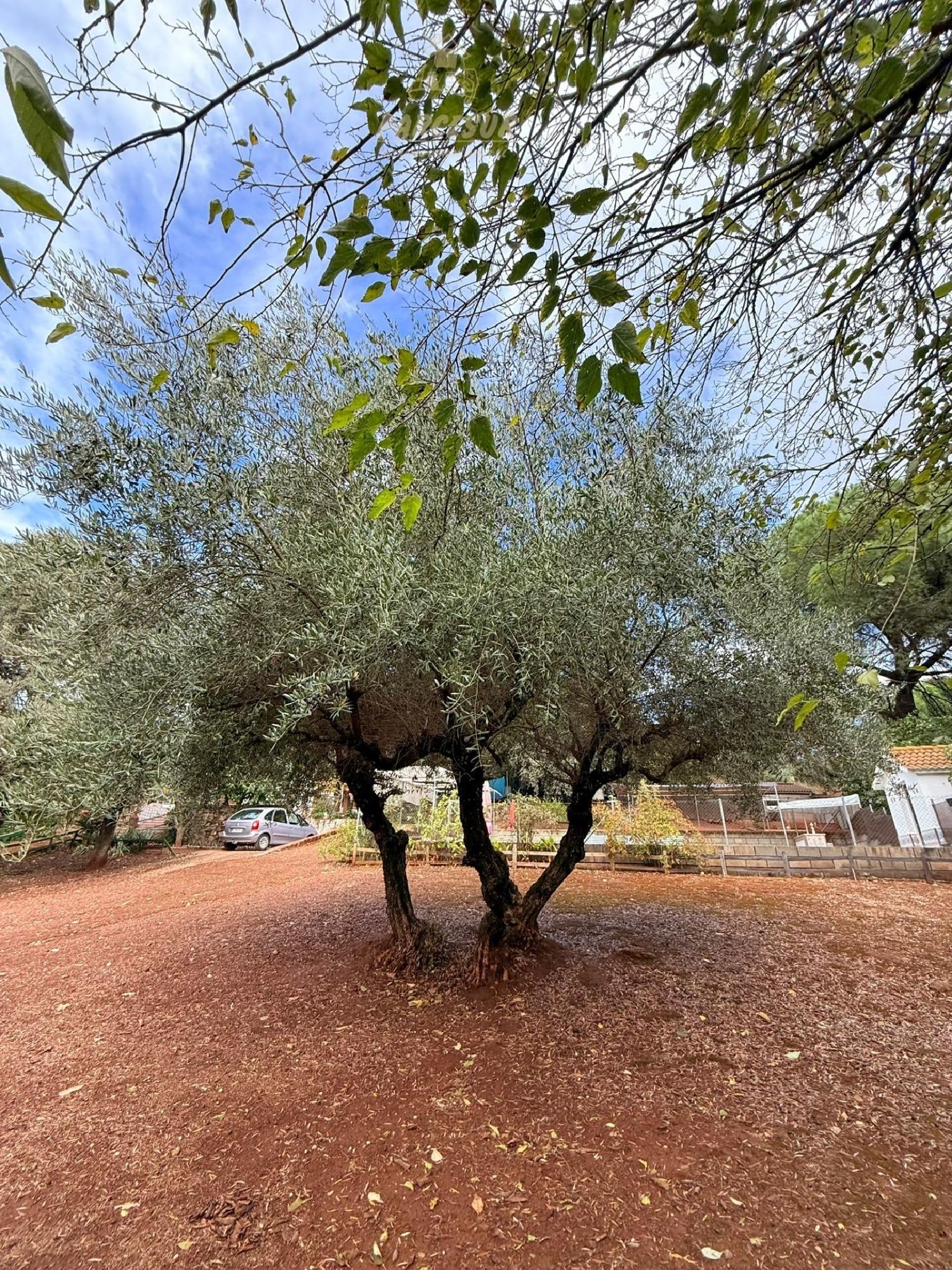  for sale country house Villafranca De Córdoba Alto Guadalquivir 7