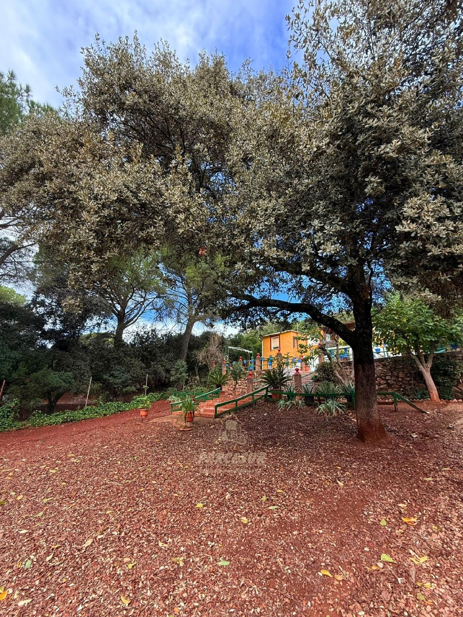  for sale country house Villafranca De Córdoba Alto Guadalquivir 6
