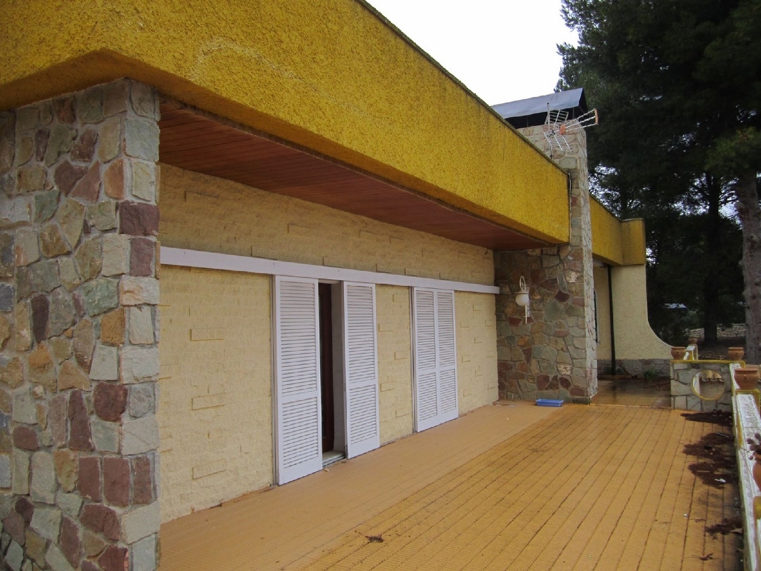  en venta finca rústica Yecla Altiplano 16