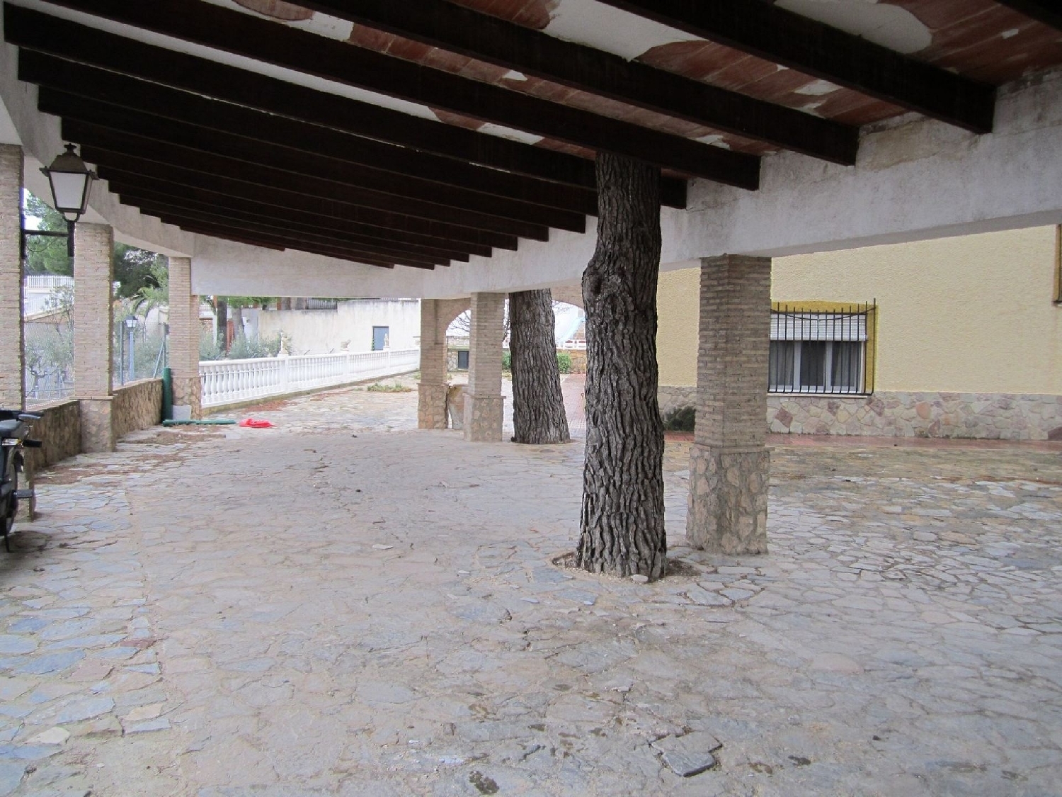  en venta finca rústica Yecla Altiplano 21
